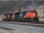 CN 8896